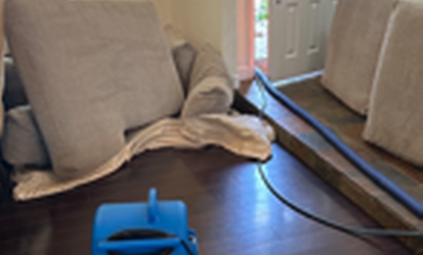 Image 6: Get Your Carpets Cleaned in 3 or 5 Rooms Plus Hallway or Staircase
