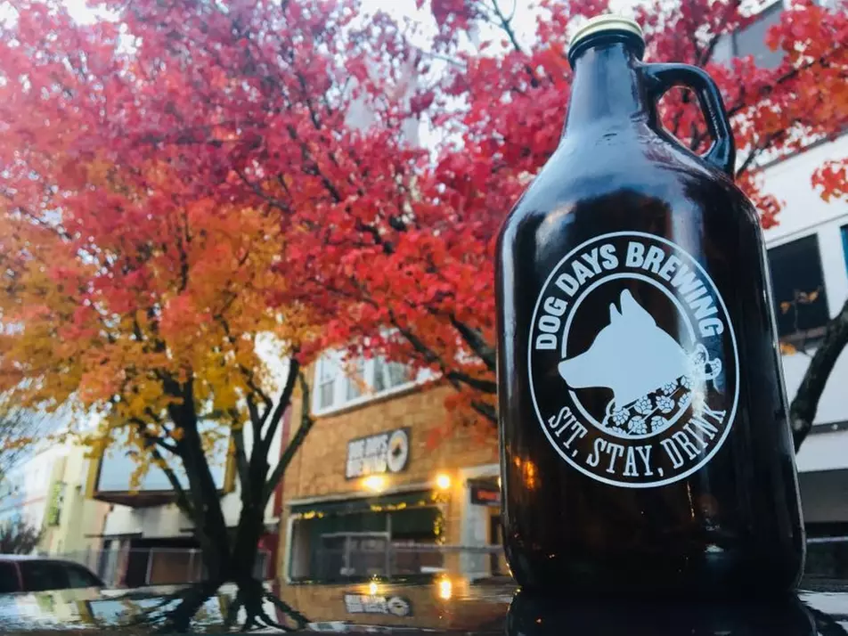 Experience Craft Brews with $30, or $60 to Use at Dog Days Brewing! 