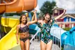 LIMITED TIME OFFER: Dorney Park & Wildwater Kingdom - Up to 50% Off - Second Medium