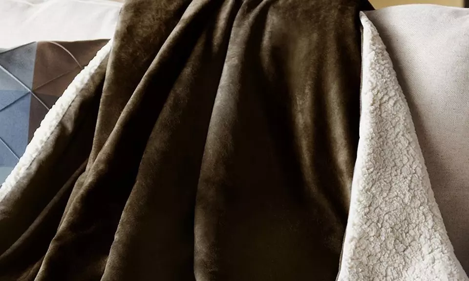 Electric Heated Throw Blanket - Primary Image