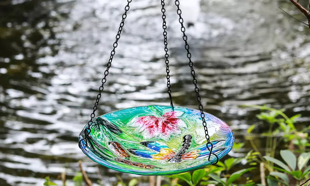 Hanging Glass Bird Feeders - Primary Image