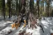 Join Bushcraft & Traditional Survival Skill Training on Day or Overnight @The Wildland  Experience(Up to 50%Off) - Second Medium