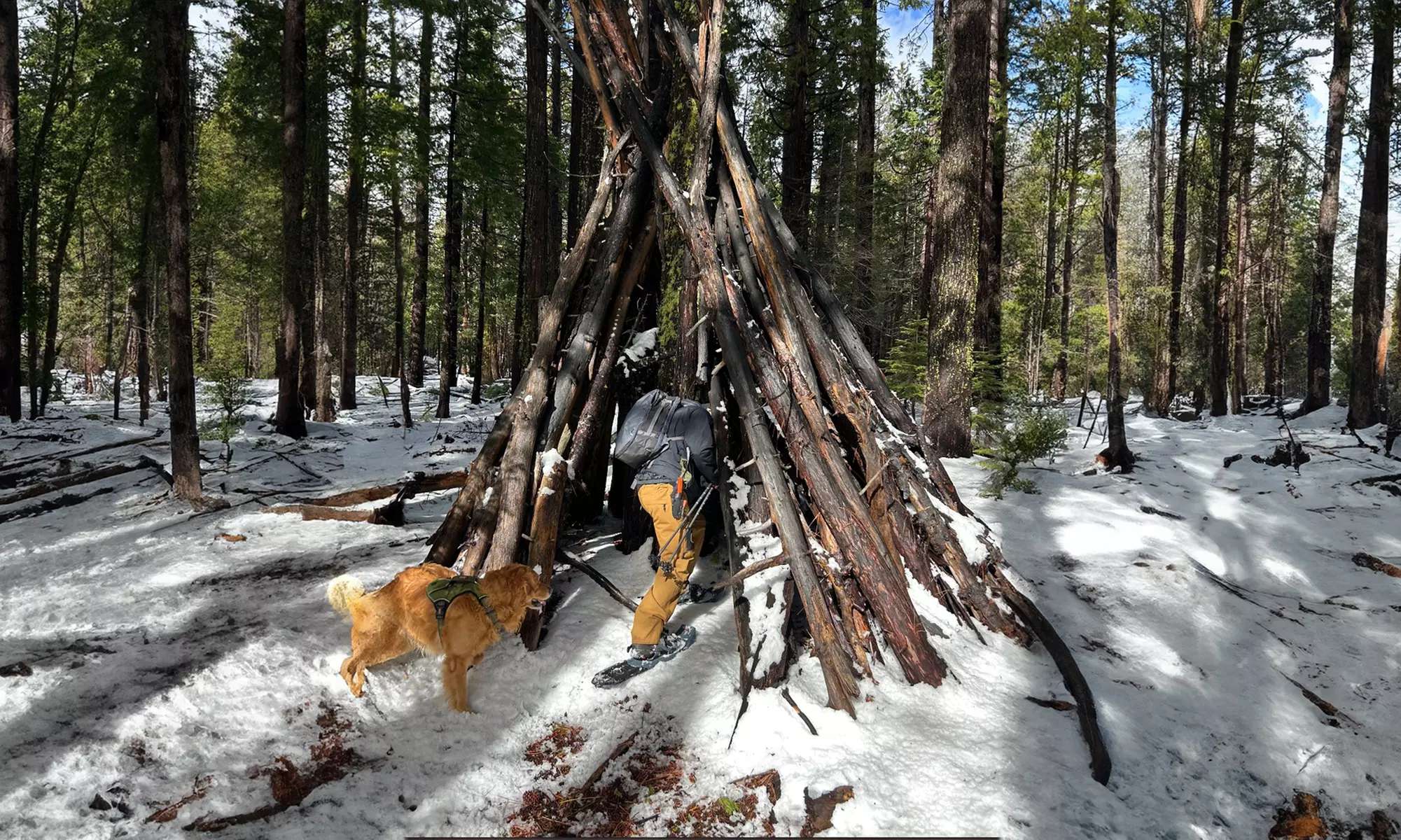 Bushcraft & Traditional Survival Skill Training on Day or Overnight