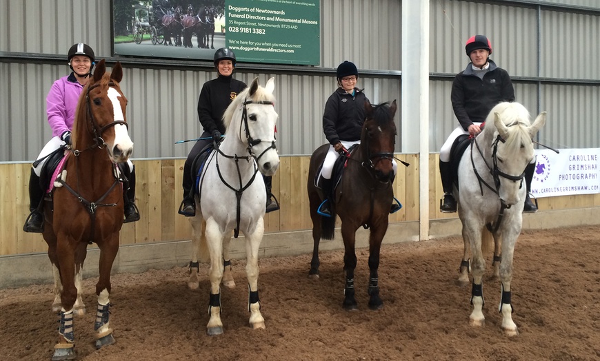 Image 6: 30-Minute Riding Lesson