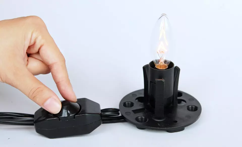 Natural Himalayan Salt Lamp﻿﻿. Free Shipping and Returns. - Image 3