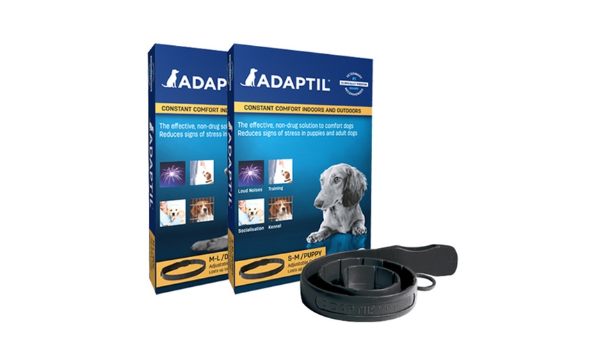 Image 4: Adaptil for Dogs