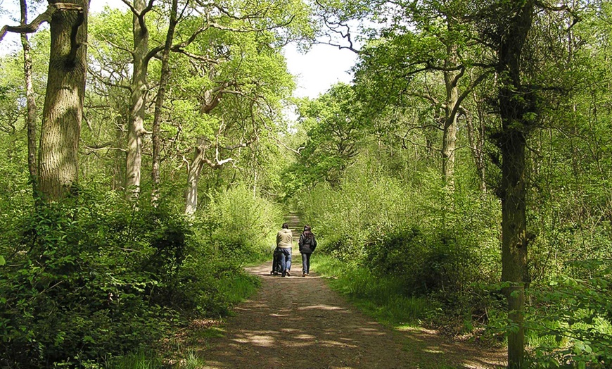 Image 4: Warwickshire Wildlife Trust Membership