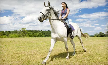 One or Three 60-Minute Horseback-Riding Experiences at Fun With Horses (Up to 51% Off) - Primary Image