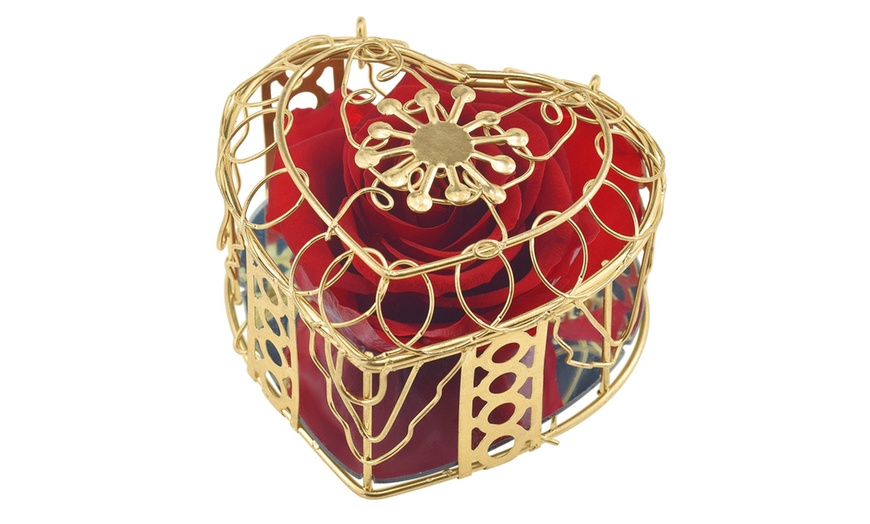 Image 7: Rosa eterna