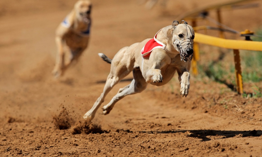 Image 1: Doncaster Greyhound Stadium