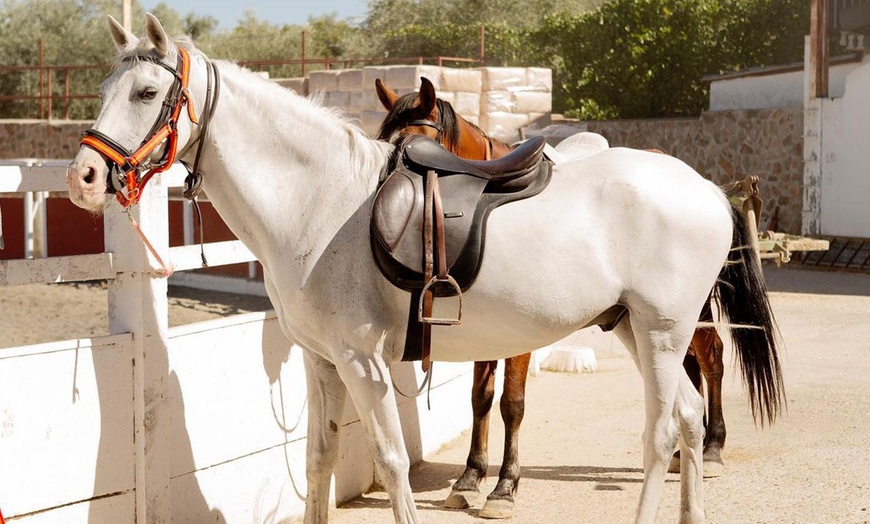 Image 4: Paseo a caballo para 2 o 4 personas en Hípica Los Jarales