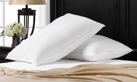 2-Pack Soft Exquisite Hotel Signature Pillows