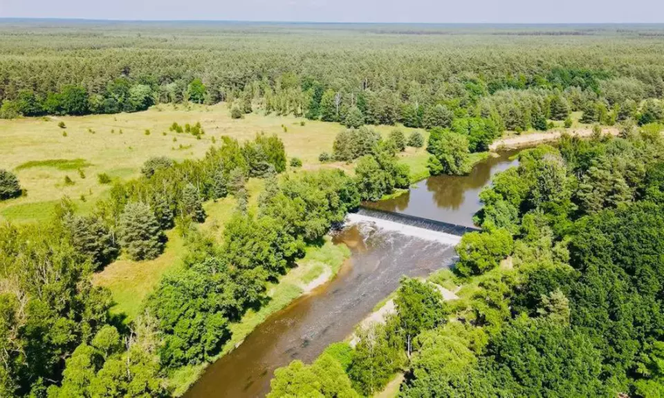 Action oder Ruhe - 2,5 - 3,5 Std. Bootstour nach Wahl für 1-6 Personen