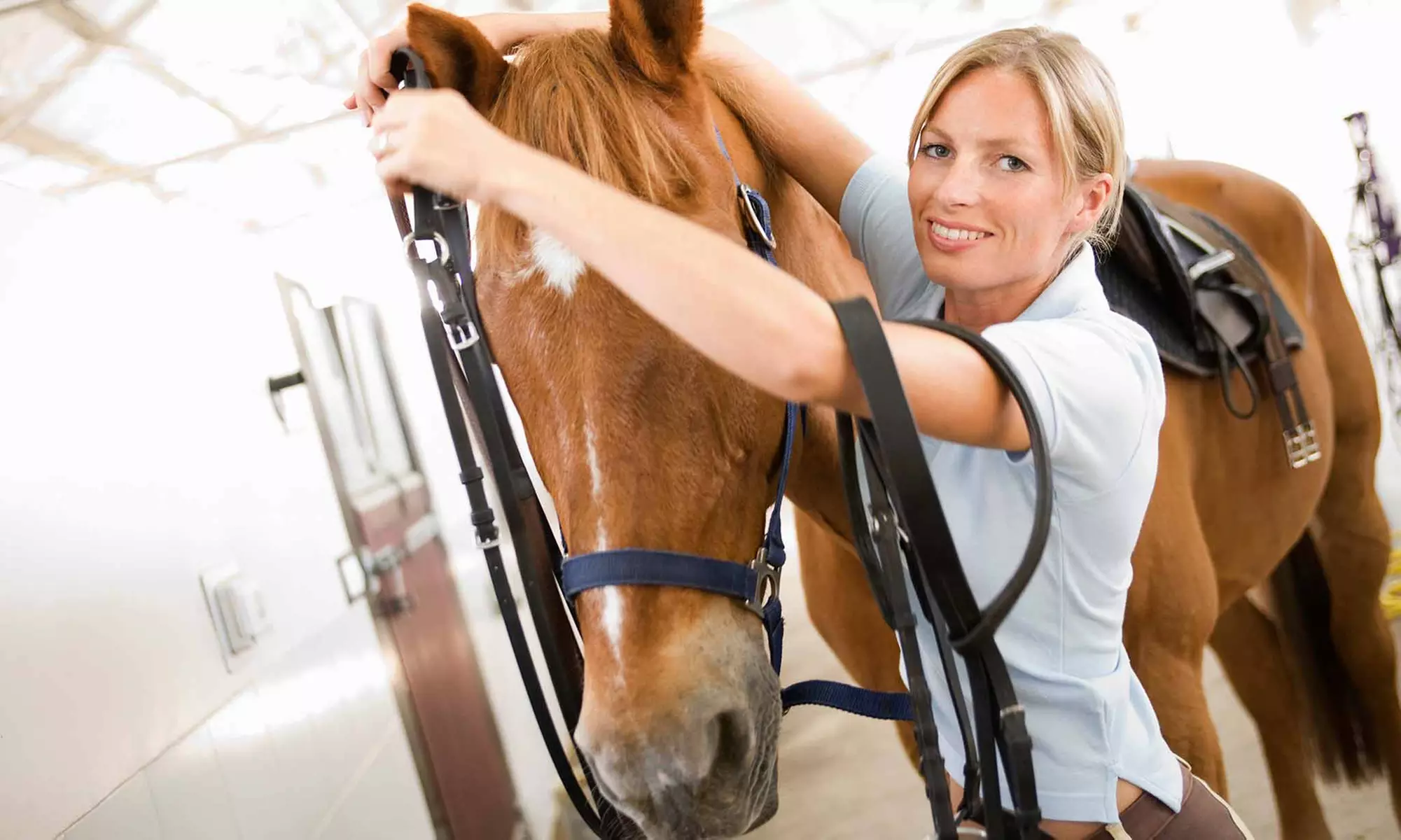 One 30-Minute Private Horseback-Riding Lesson at Seaton Hackney Stables (42% Off) - Primary Image
