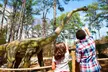 Stone Mountain Park Admission, Zipline Tickets & More - Save Up To 54% - Second Medium