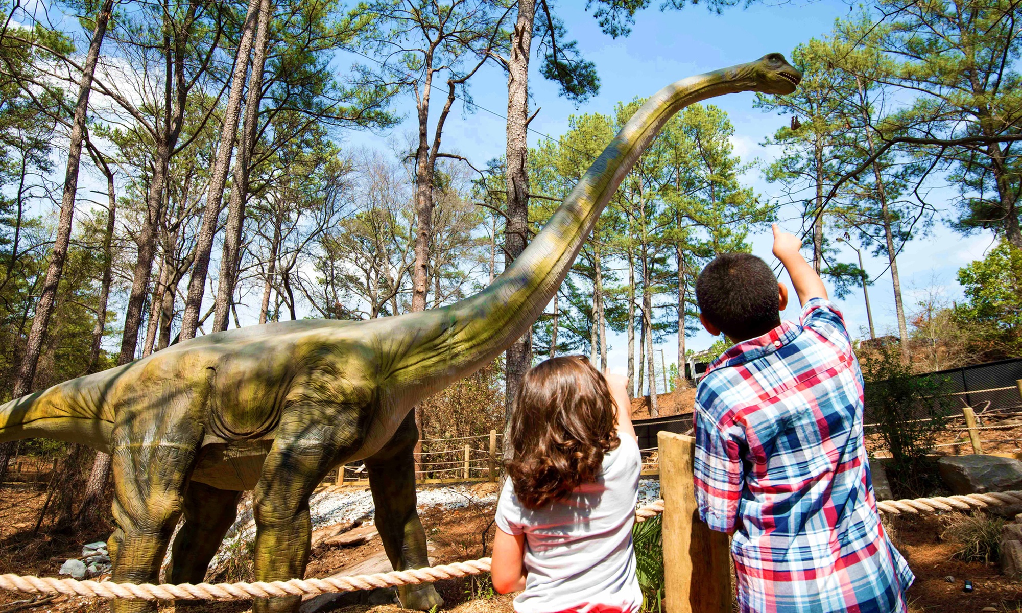 Stone Mountain Park Tickets & Zipline Course