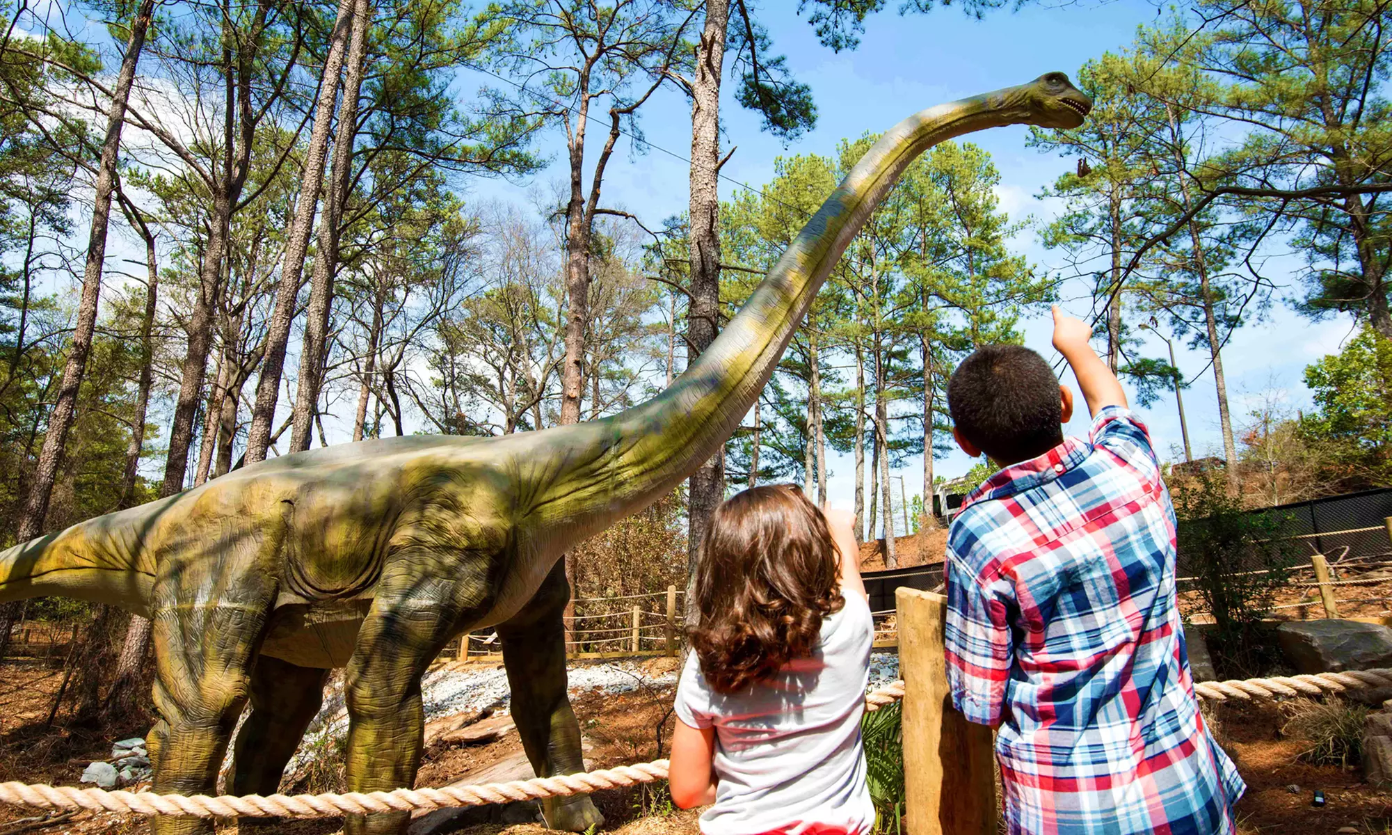 Stone Mountain Park Tickets & Zipline Course