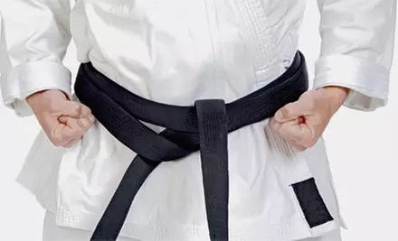One Month of Martial-Arts Classes or Three Months of Classes with Uniform at Sun Hang Do Martial Arts (Up to 86% Off) - Primary Image