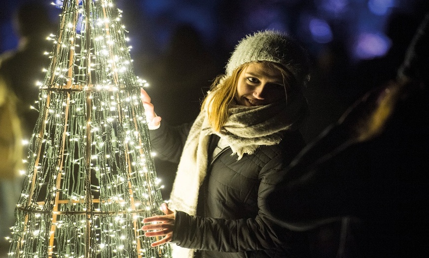 Image 5: Christmas at London Zoo