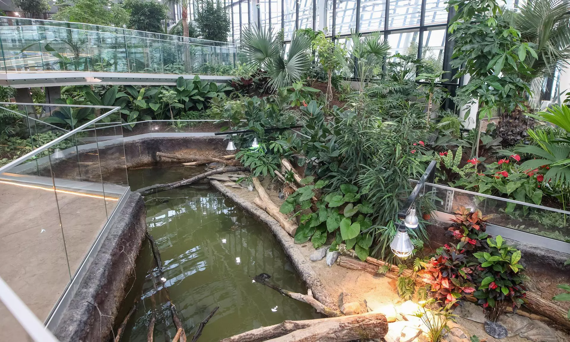 Zobacz z bliska egzotyczne rośliny i zwierzęta: bilety do Egzotarium