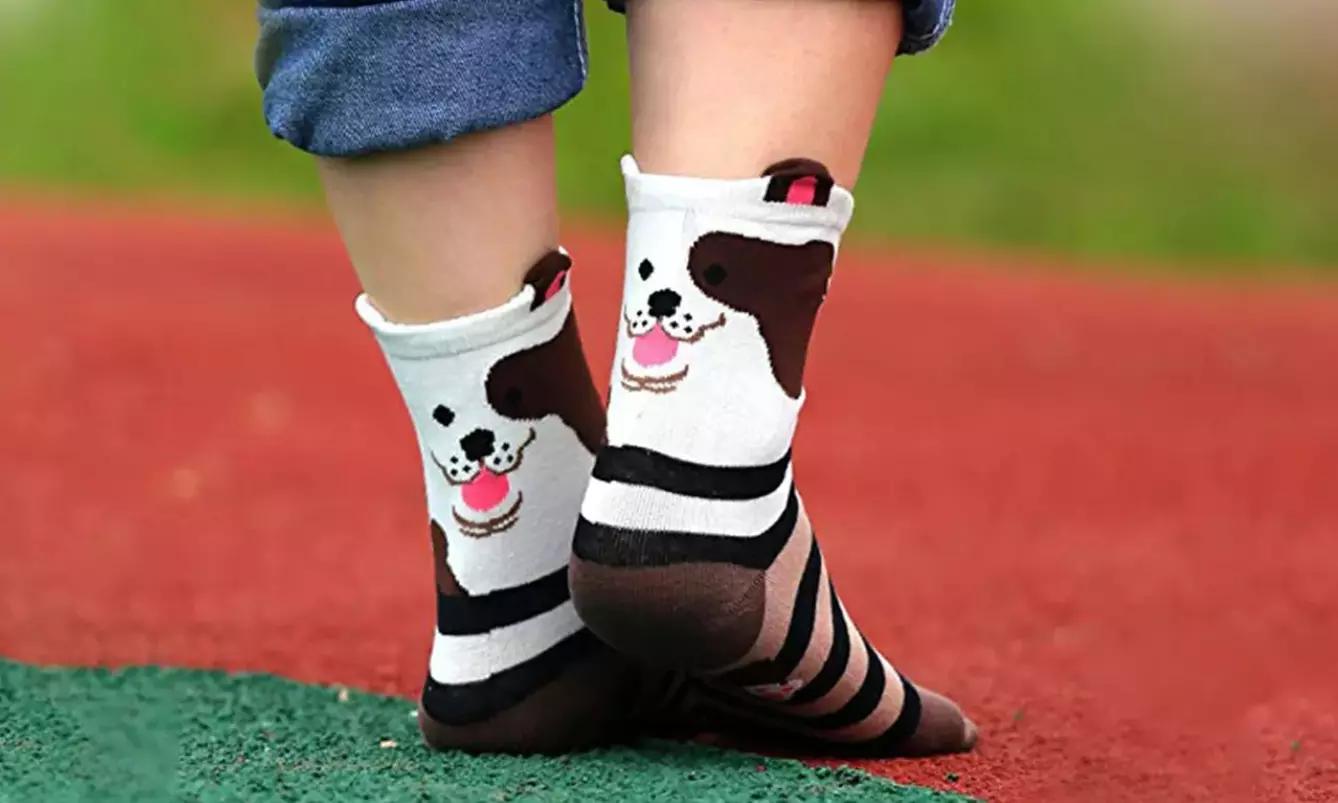 1, 5 ou 10 paires de chaussettes colorées à motifs chiens