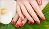 Shellac Manicure, Standard Mani-Pedi, or Shellac Mani-Pedi at Salon 1 West in Kingsville (Up to 51% Off)