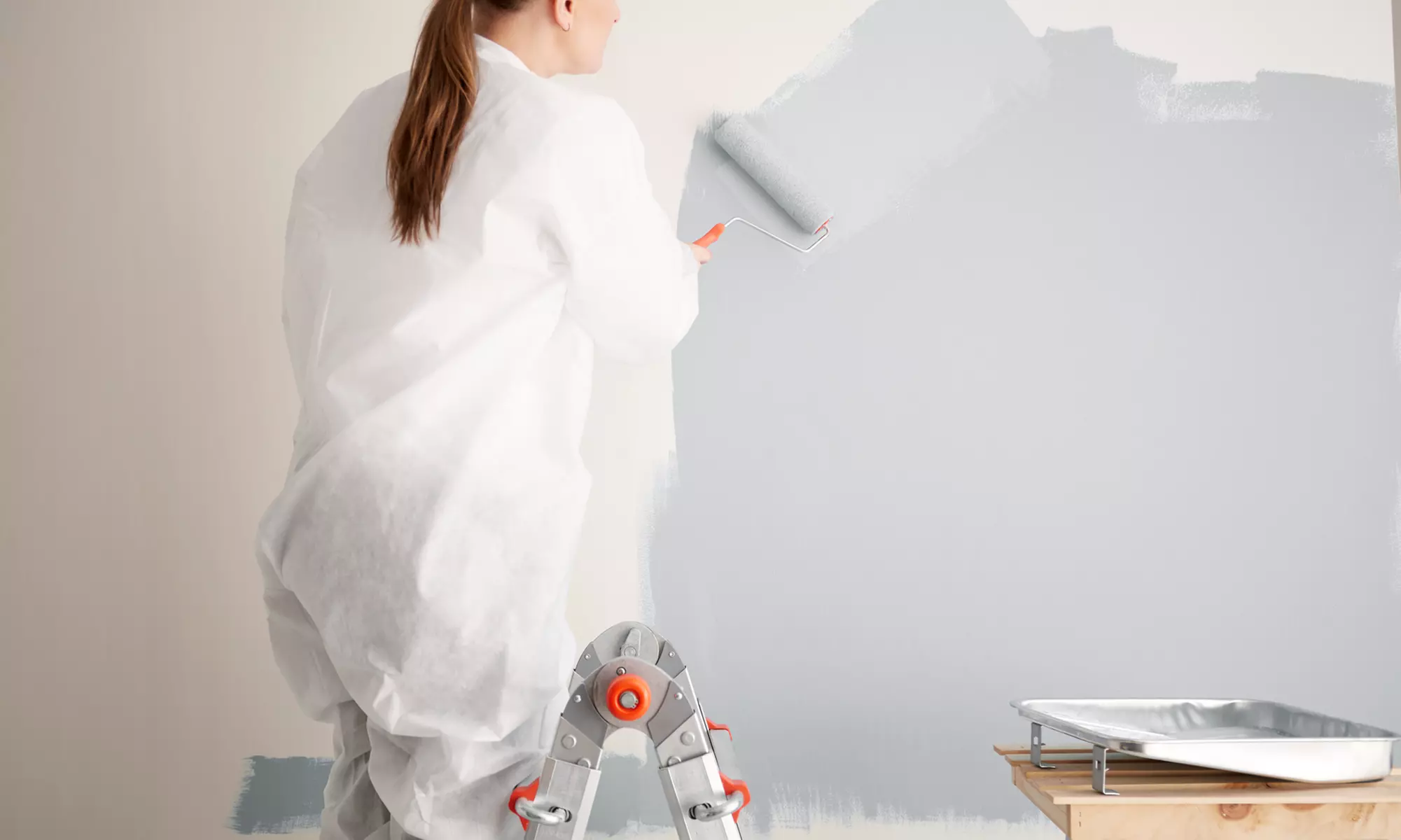$1 Off $2 Worth of Painter - House - Primary Image