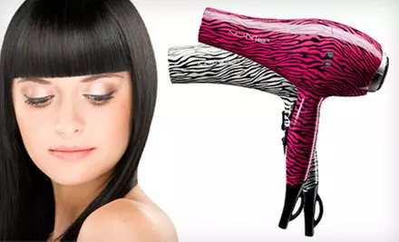 $69 for a NuMe Ionic Hair Dryer in White Zebra or Hot-Pink Zebra. Shipping Included ($312 Total Value). - Primary Image