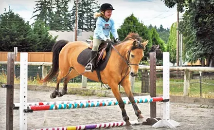 One or Three Private Horseback-Riding Lessons at Pond-A-Luce-A Stables (Up to 57% Off) - Primary Image
