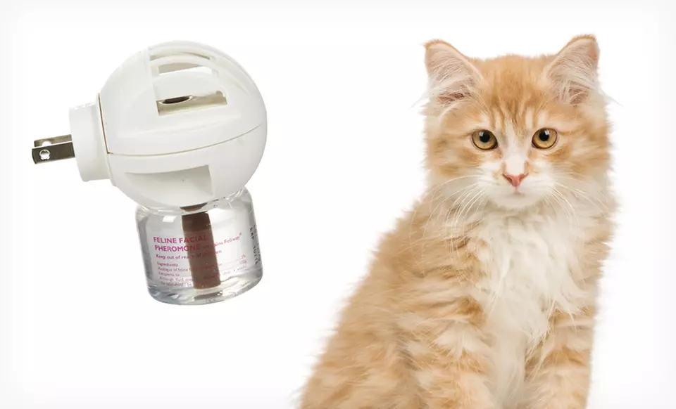 $22.99 for a Comfort Zone with Feliway Diffuser for Cats ($50.99 List Price). Free Shipping and Returns. - Primary Image