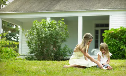 Half- or Full-Acre Treatment from Triad Mosquito Control (Up to 58% Off) - Primary Image