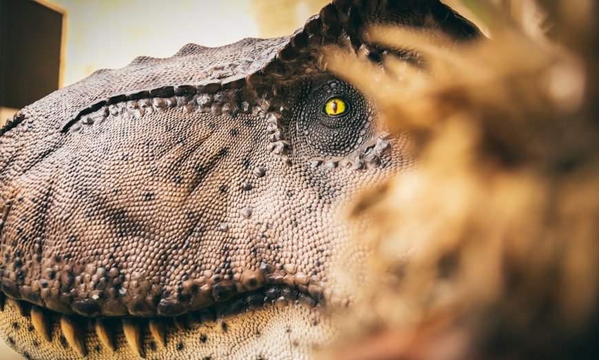 Image 2: Visita temática y exposición