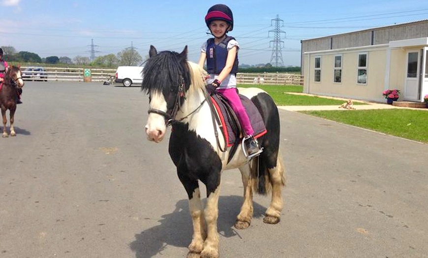 Image 1: Children's Pony Riding Lesson