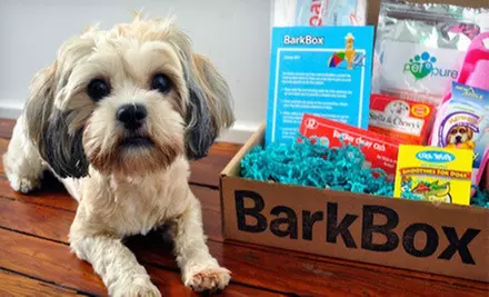 Three- or Six-Month Subscription for Dog Goodies from BarkBox (Up to 47% Off). Free Shipping.  - Primary Image