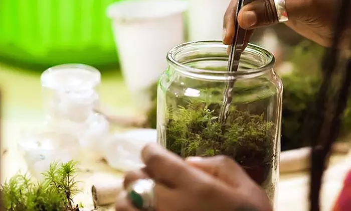 Make a Moss Terrarium with the Owners of Twig Terrariums - Primary Image