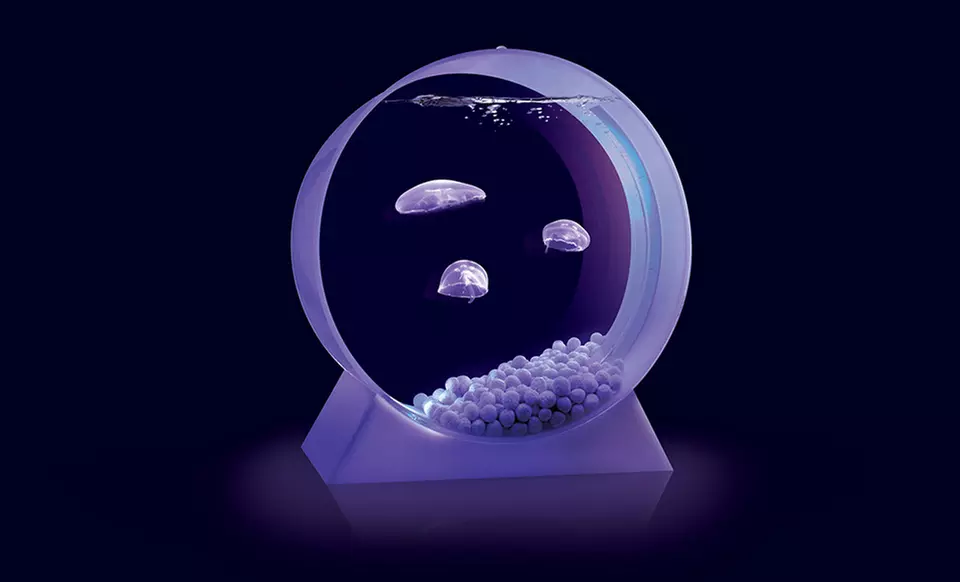 Desktop Jellyfish Kit with Tank, Jellyfish, and Food from $249.99–$349.99. - Primary Image