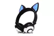 iPop Foldable LED Fox Ear Headphones - Second Medium