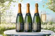 Pop, Fizz, Clink! 3 Bottles of Bubbly – Prosecco, Cava, or French Champagne from Splash Wines (Up to 57% off) - Second Medium