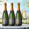 Image 2: Splash Wines: 3-Bottle of Premium Sparkling Wine - Choose Cava or French Champagne