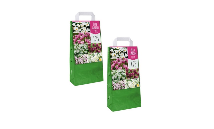 Image 8: Set di 125 o 250 bulbi di fiori da giardino assortiti