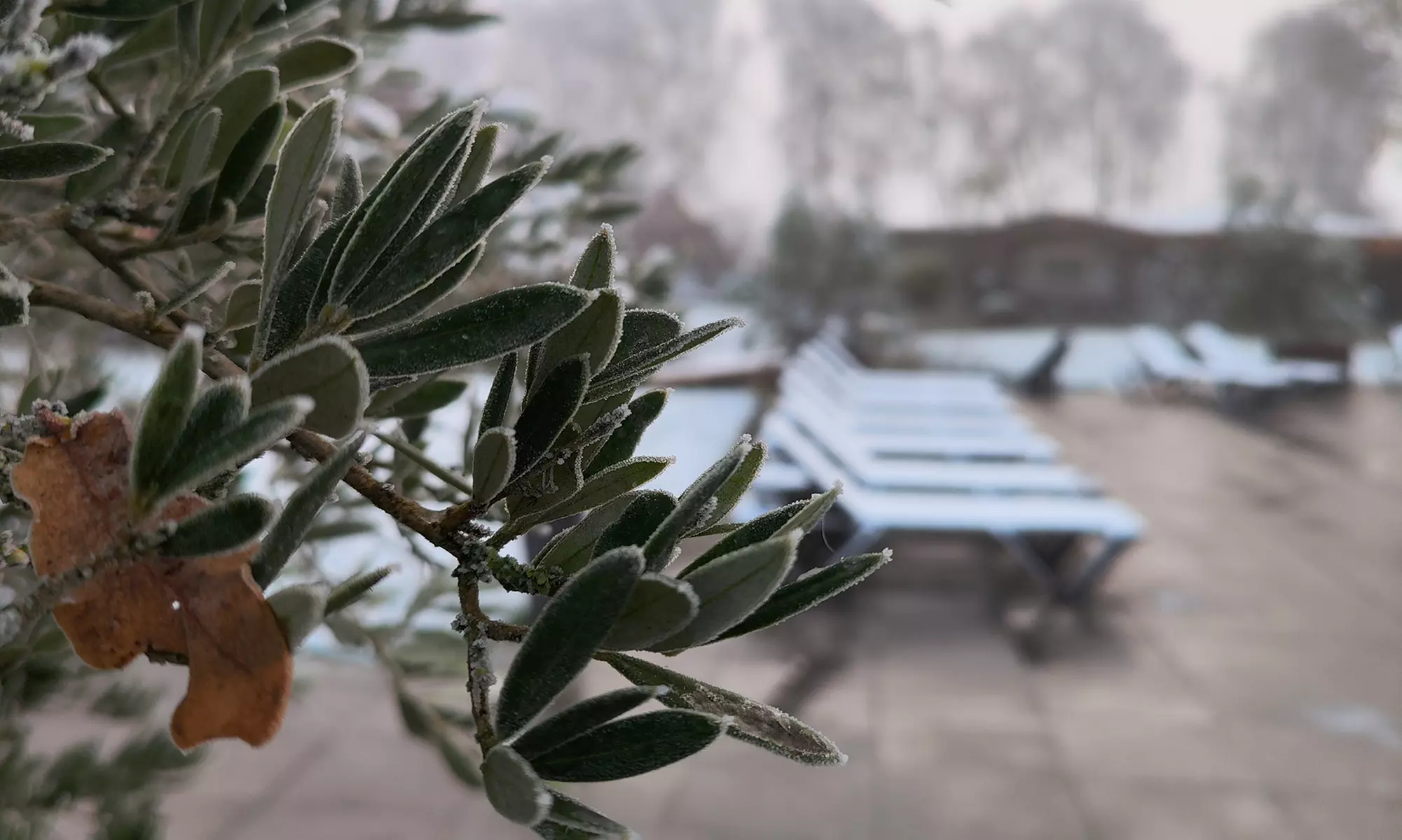 Geniet van diverse sauna's in een groene oase