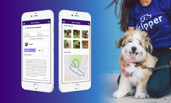 Dog Walks with Consultation with Skipper (Up to 54% Off). Six Options Available. - Primary Image