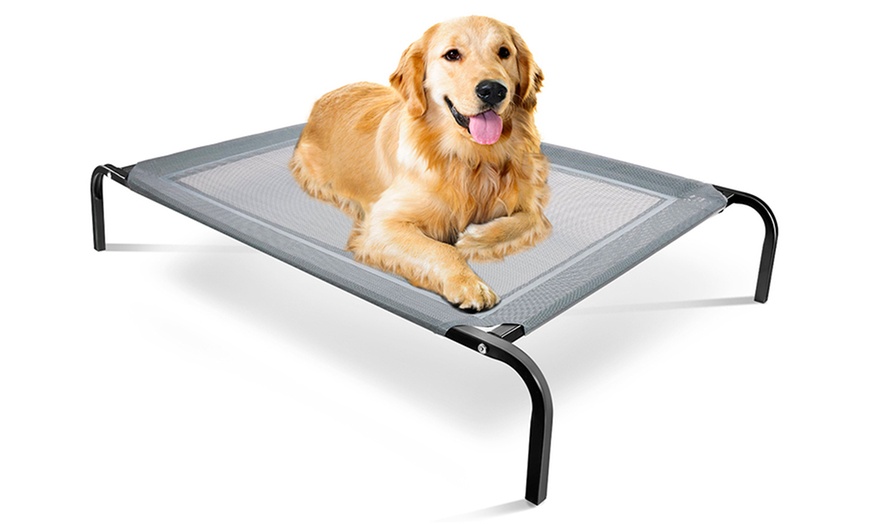 Elevated Steel-Framed Comfort Pet Bed | Groupon