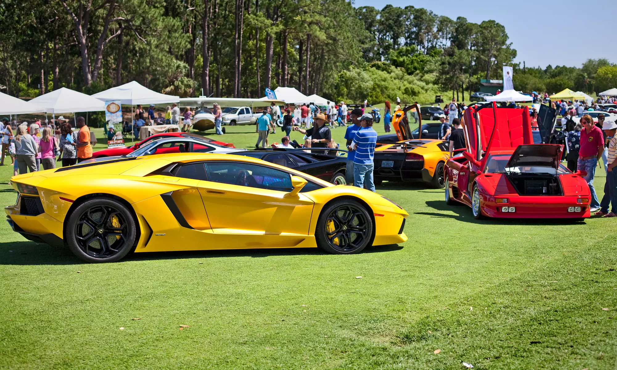 Race Car Experience for One, Two, or Four at Festivals of Speed (Up to 45% Off) - Primary Image