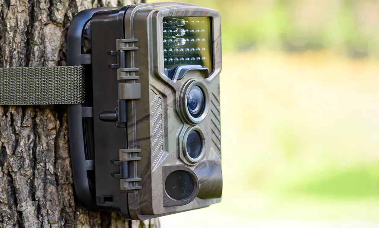 Denver WCT-8010 Wildlife Camera - Primary Image