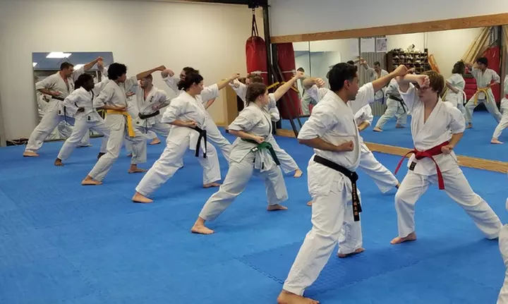One-Week Introductory or One-Month Regular Membership with Uniform at Ligo Dojo of Budo Karate (Up to 35% Off) - Primary Image