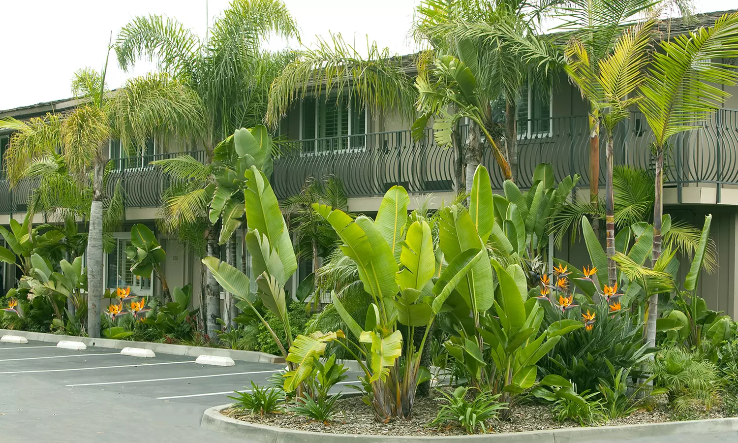 Waterfront Resort on Mission Bay with Two Heated Pools