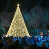 Image 2: Holiday Celebrations On The National Mall for A Party Of 5, 8, or 10