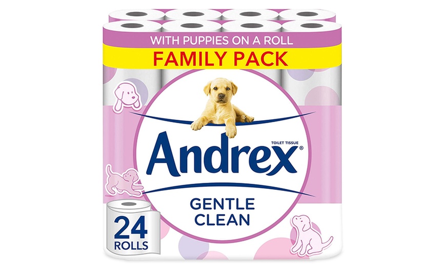 Image 2: 24 or 48 Rolls of Andrex Toilet Paper