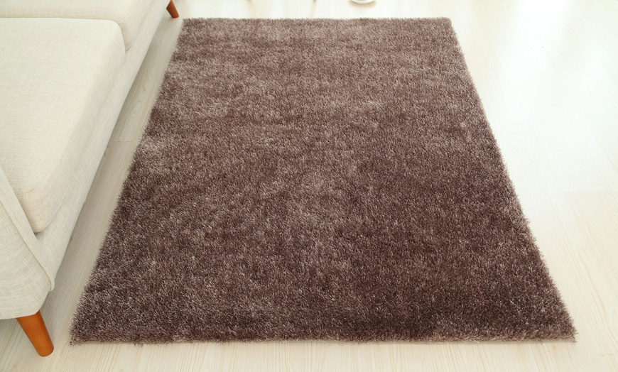 Image 12: Tapis à poils longs
